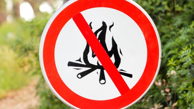 В Марий Эл с 22 июня прогнозируют наивысший класс пожарной опасности в лесах