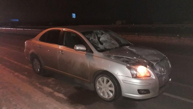 В последний день минувшего года в Марий Эл в ДТП погиб пешеход