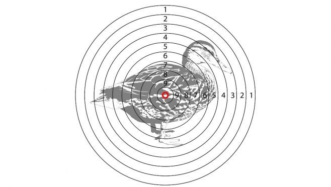 Ружья под запретом – в Марий Эл отменили весеннюю охоту