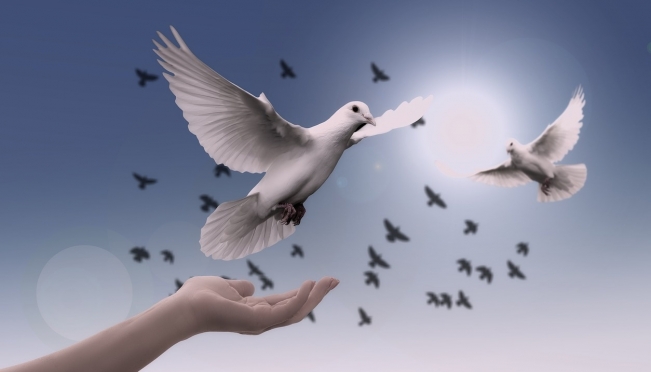 В Благовещение в Йошкар-Оле в небо воспарят белые голуби
