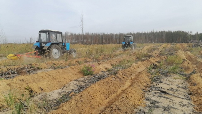 В Марий Эл распахивают почву под посадку леса