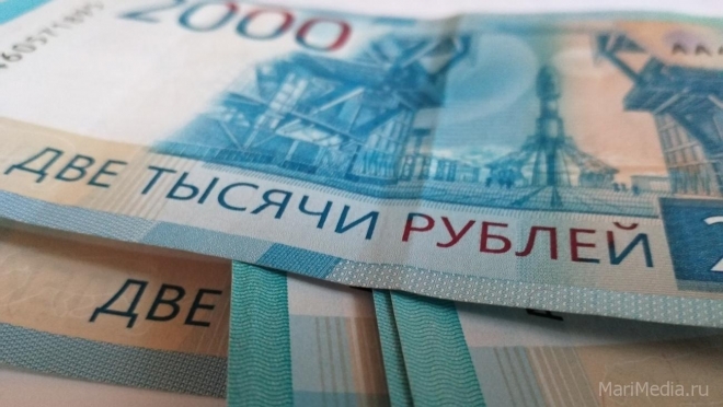 У родителей Марий Эл осталось меньше 2 месяцев, чтобы оформить выплаты на детей