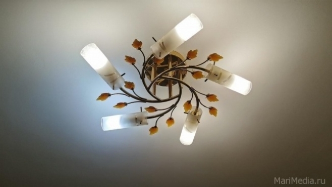 Несколько домов Йошкар-Олы останутся без света