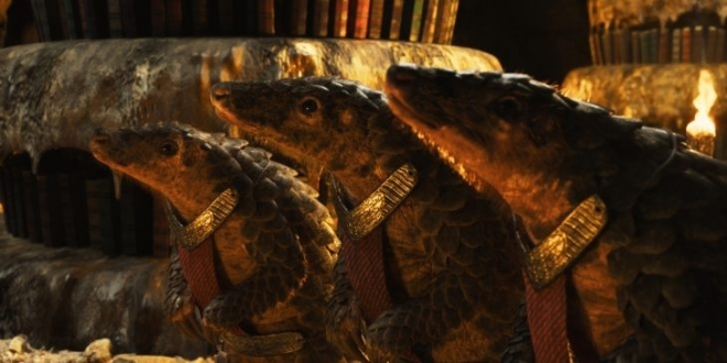 Хроники Панголинов