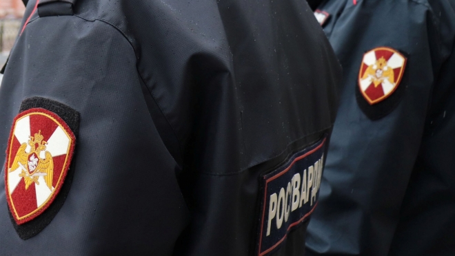 Йошкаролинца, находящегося в розыске, задержали на ул. Осипенко