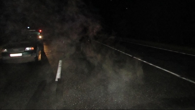 На трассе «Йошкар-Ола - Уржум» сбили человека