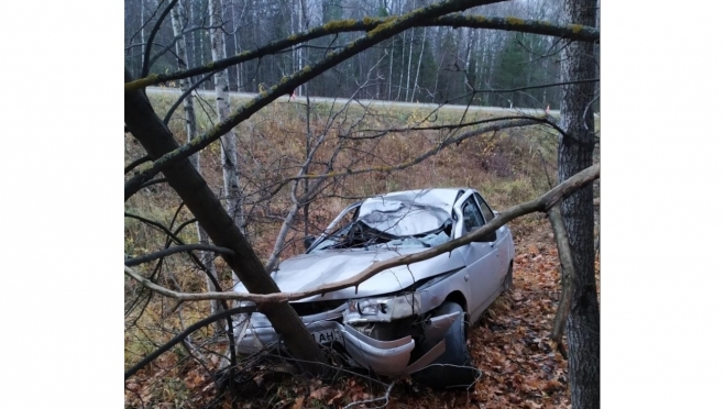 На 33 км автодороги «Вятка» машина столкнулась с лосем