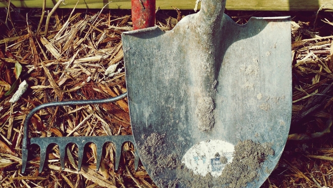 Служба занятости формирует бригады для общественных работ