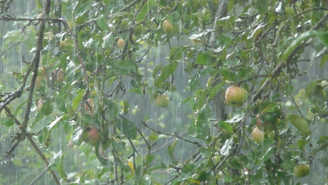 В Марий Эл ночью ожидается ухудшение погоды