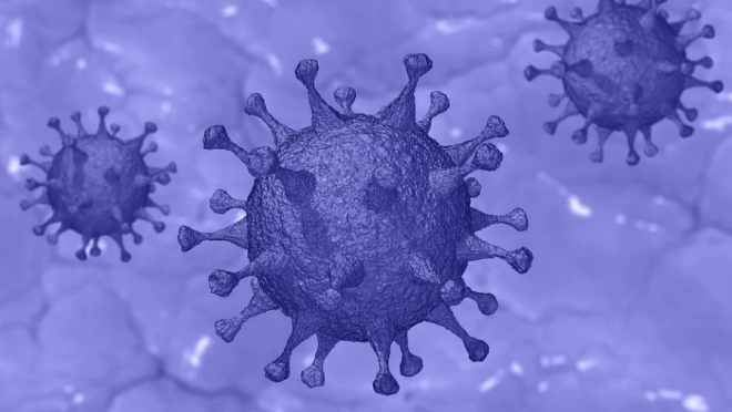 В Марий Эл поставлен рекорд по выявленным случаям COVID-19 за месяц