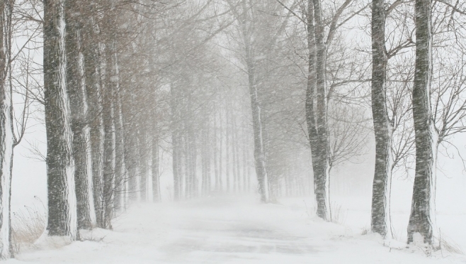 В Марий Эл прогнозируют сильный снег и гололедицу