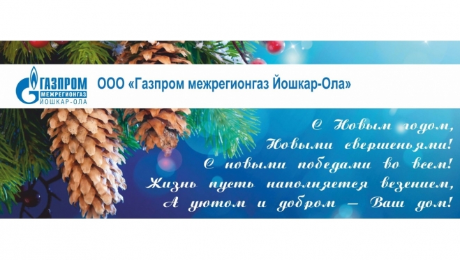 Поставщик газа рекомендует встретить Новый год без долгов