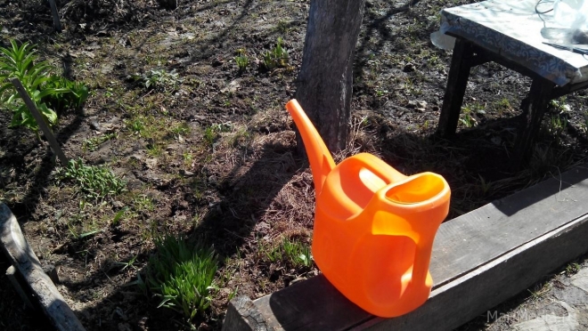 Садоводам Марий Эл рассказали, при какой температуре почвы можно высаживать рассаду