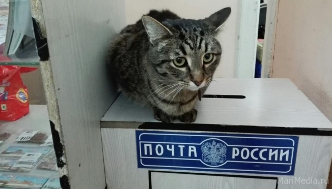 Об изменении режима работы ОПС в Йошкар-Оле