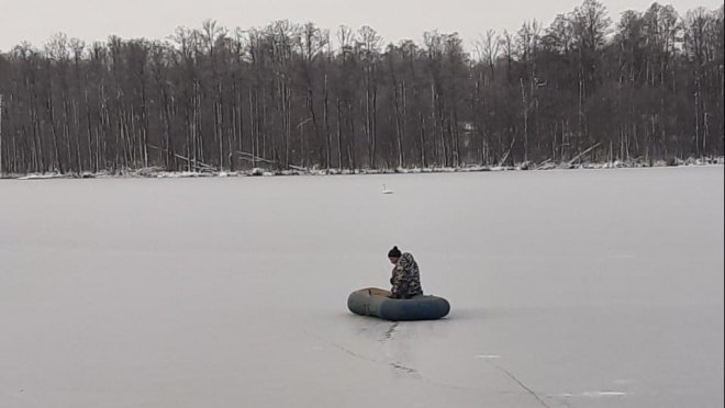 В Звениговском районе на озере остался зимовать лебедь