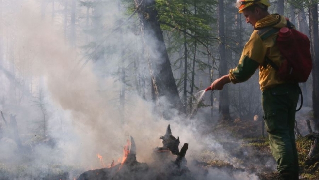 В лесах Марий Эл сохраняется высокий класс пожарной опасности