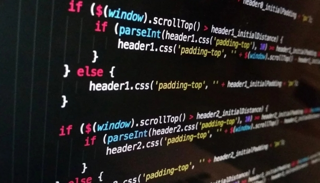 Сельские школьники пройдут курсы по программированию