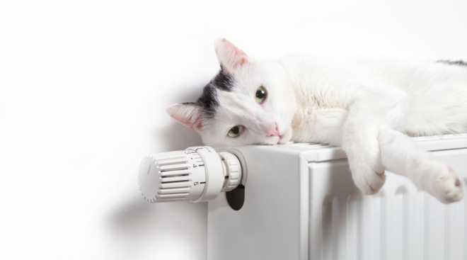 В Йошкар-Оле планируют включить отопление после 15 сентября