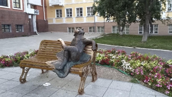 Йошкар-Олу назвали «кошачьим» городом России