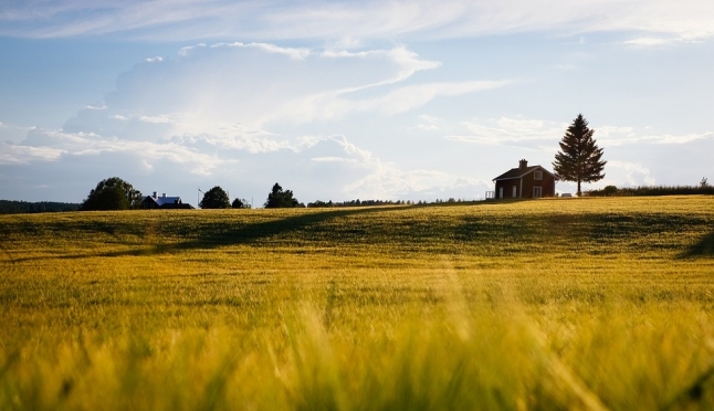 В Оршанском районе раскрыты махинации с землёй
