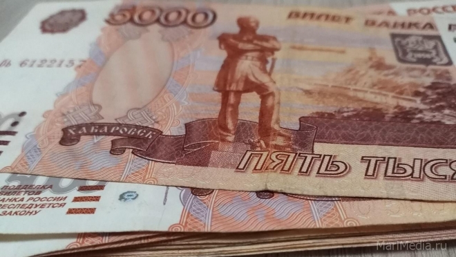 Марий Эл на стимулирующие выплаты для медиков получит 31,8 млн рублей