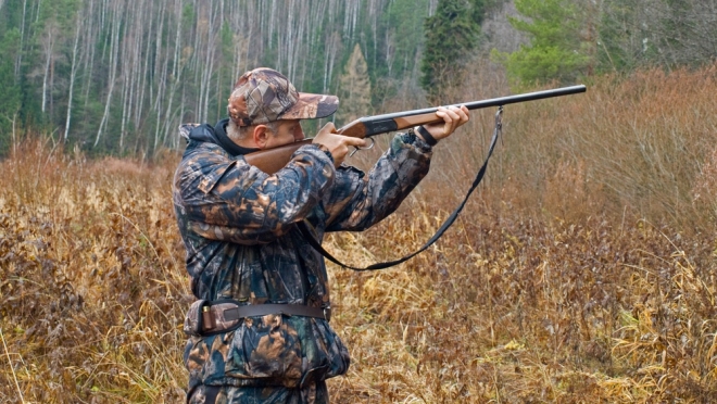 В Марий Эл в новом сезоне охотникам разрешили добыть 614 лосей и 179 медведей