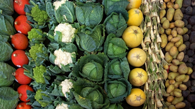 «Горномарийские овощи» первыми в Марий Эл заявились на участие в конкурсе «Вкусы России»