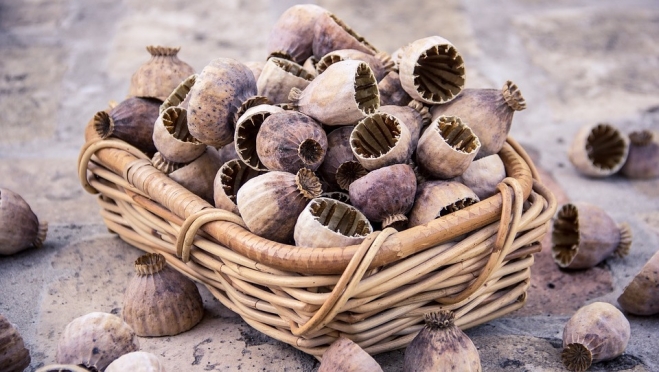 Сернурского наркомана отправили на принудительное лечение