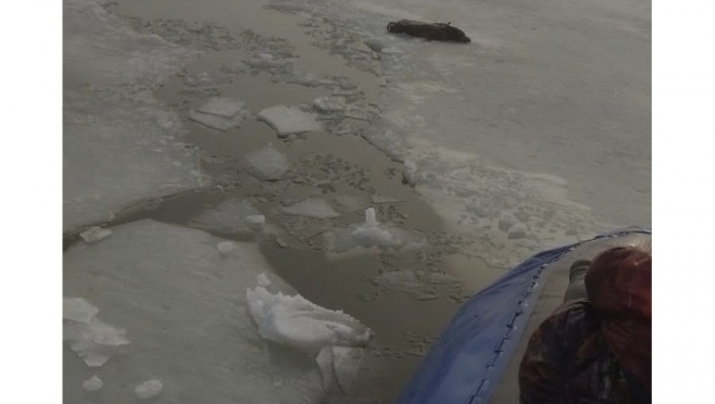 В Татарстане в 100 метрах от берега под лёд провалился 73-летний мужчина