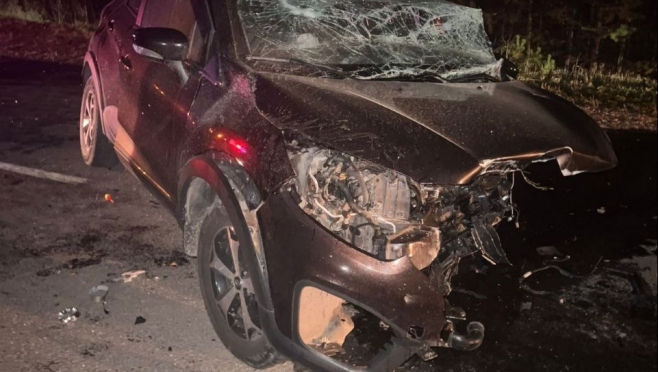 В Марий Эл в ДТП два человека погибли, трое получили травмы