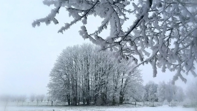 Марий Эл ждёт очередной каприз погоды