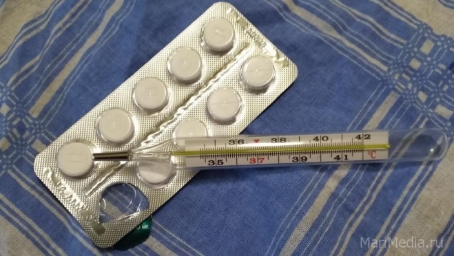 Новогодние праздники остановили распространение гриппа и ОРВИ в Марий Эл