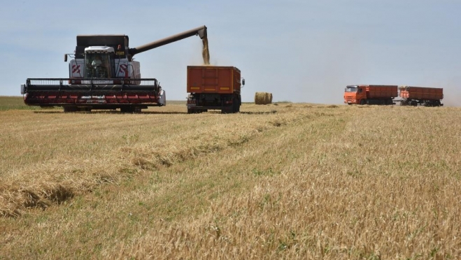 В Марий Эл получили рекордный урожай зерновых культур