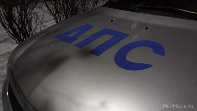 В Марий Эл в январе произошло 16 ДТП с участием пешеходов