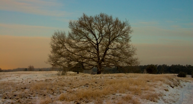 Юность России