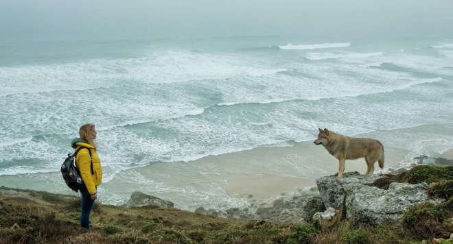 Комната чудес