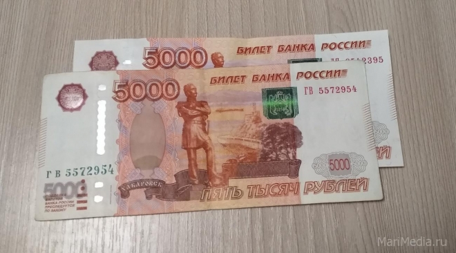 Житель Мари-Турека заплатит штраф 10 тысяч рублей за оскорбление силовика