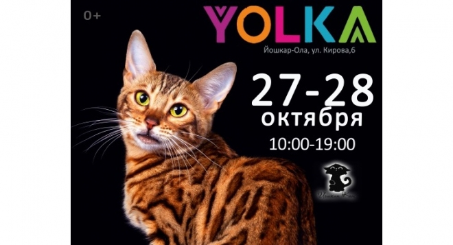 Золотая кошка Йошкар-Олы