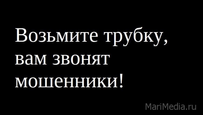 Возьмите трубку, вам звонят мошенники