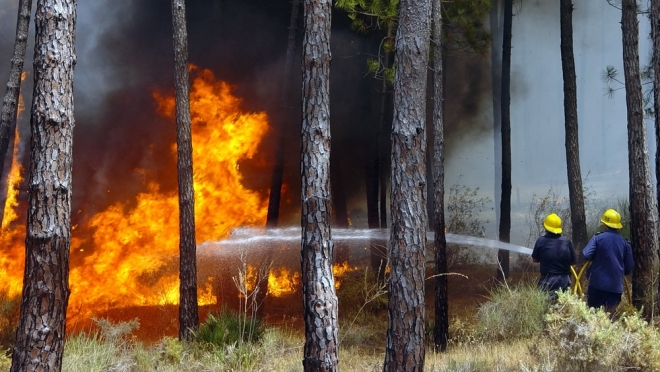 В Марий Эл начались лесные пожары