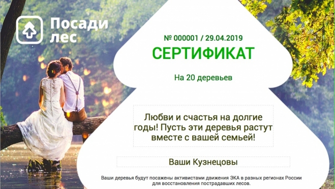 Вместо цветов – лес: жители Марий Эл могут сделать оригинальный свадебный подарок