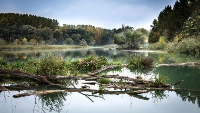 Из реки Сура подняли тело мужчины