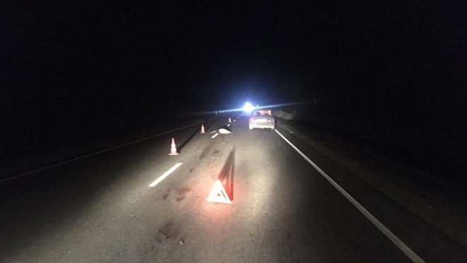 В Оршанском районе насмерть сбили пешехода