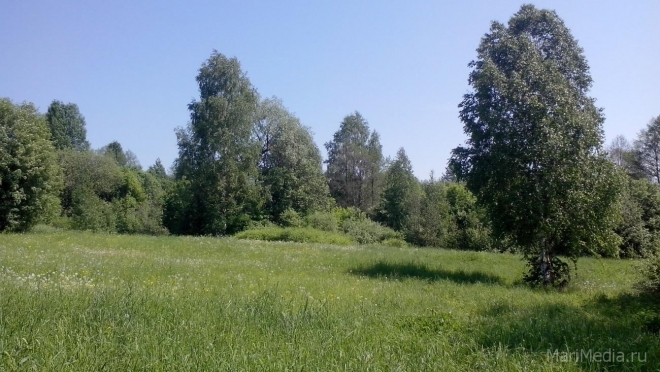 В Марий Эл 220 тысяч земельных участков не имеют точного описания границ