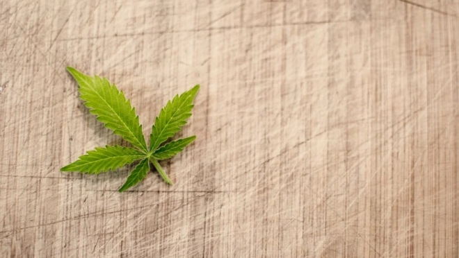 Несовершеннолетний житель Марий Эл обвиняется в приобретении наркотиков