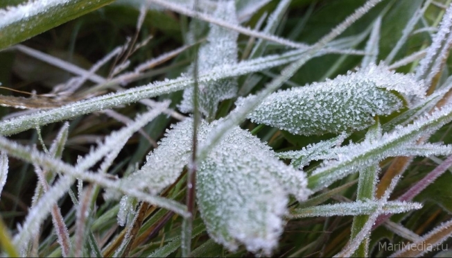 Синоптики Марий Эл вновь предупреждают о заморозках на почве