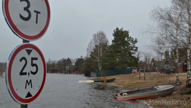 В Марий Эл стартовала экологическая акция «Вода России»