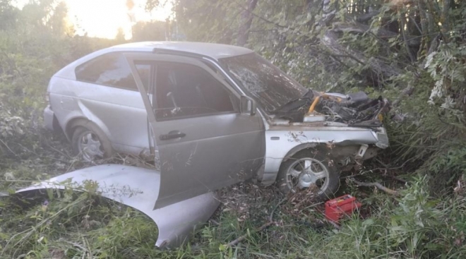 Житель Новоторъяльского района напился после ДТП