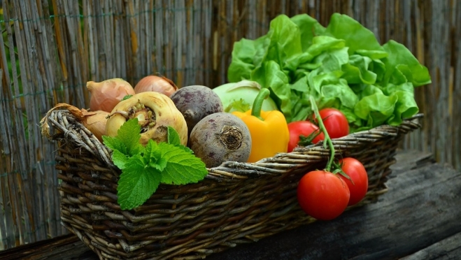 Роспотребнадзор в Марий Эл открывает «горячую линию» по качеству овощей