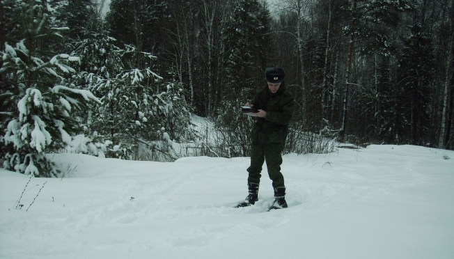 В Марий Эл самые предусмотрительные медведи уже в берлогах